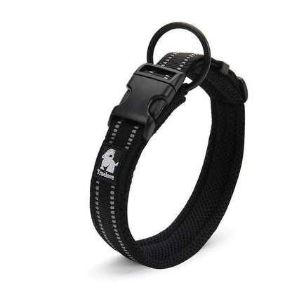 MyPawsomePets™ NightGlow Collar