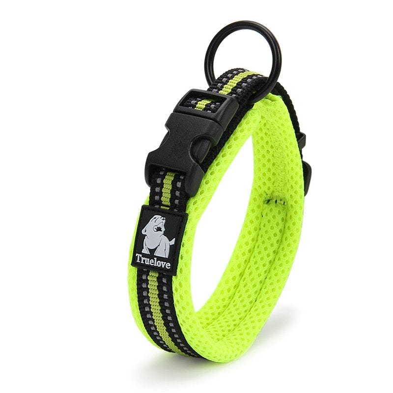 MyPawsomePets™ NightGlow Collar