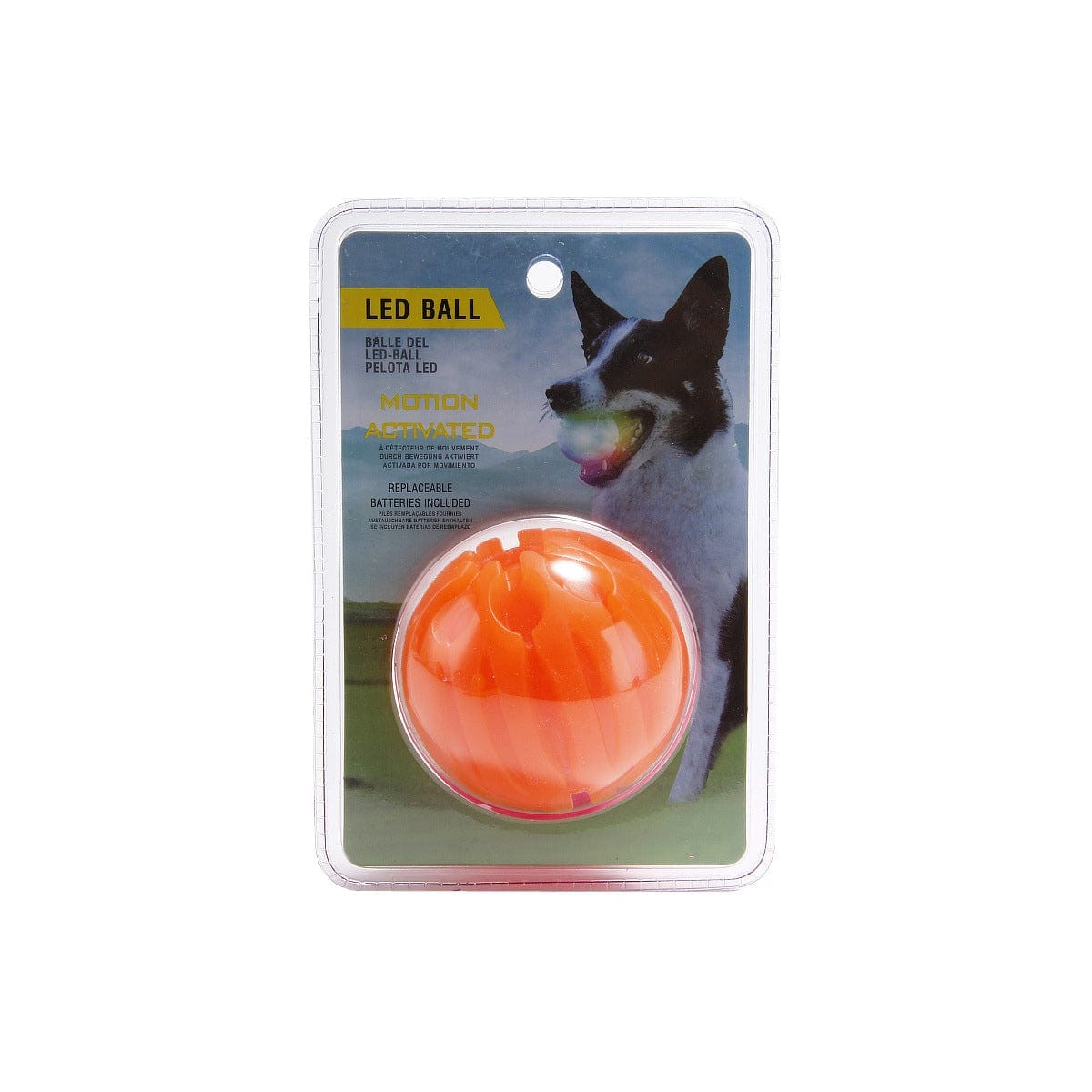 MyPawsomePets™ Bright Bounce Ball
