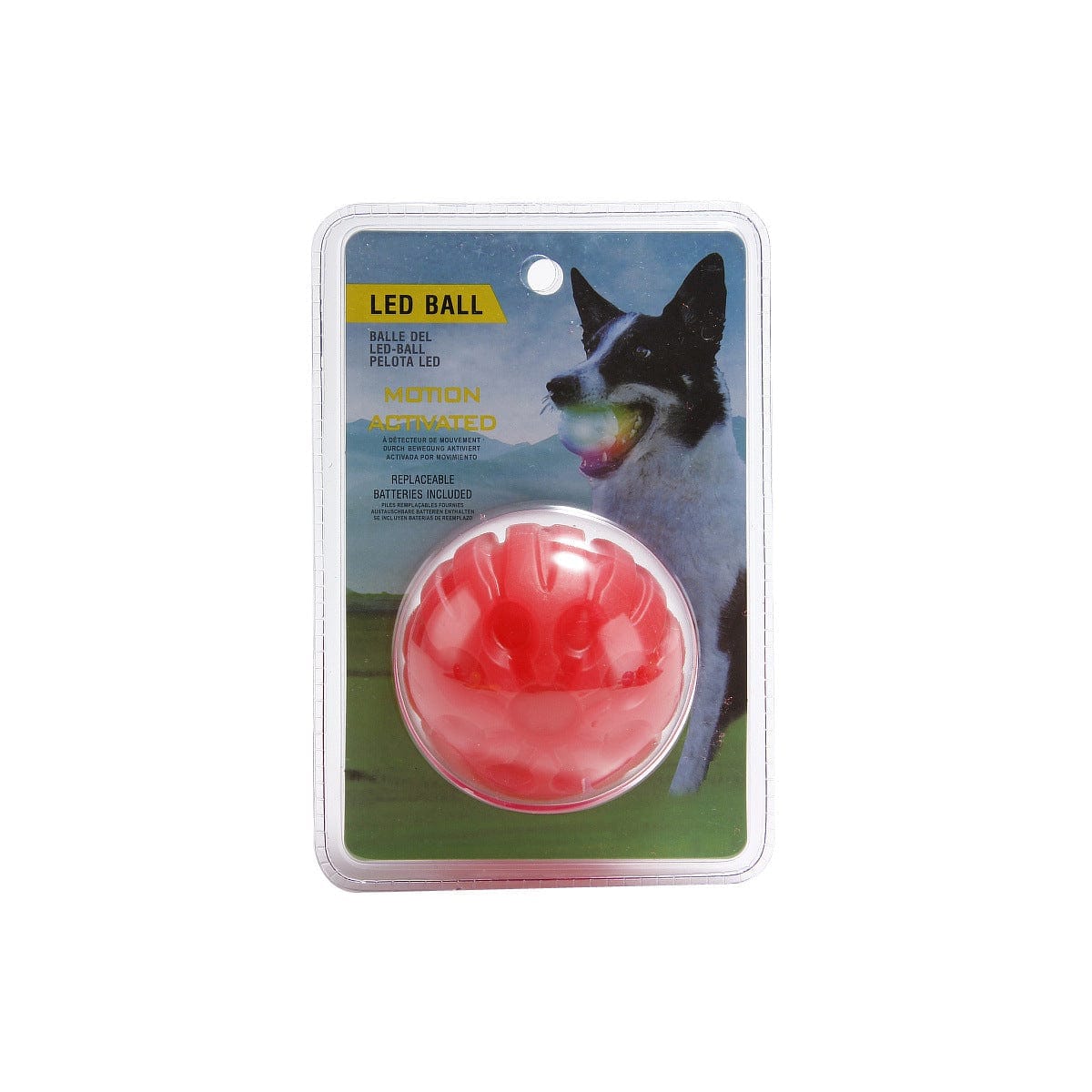 MyPawsomePets™ Bright Bounce Ball