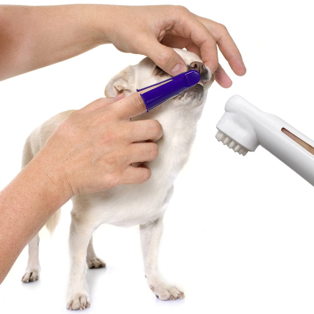 MyPawsomePets™ Dental Care Kit for Pets