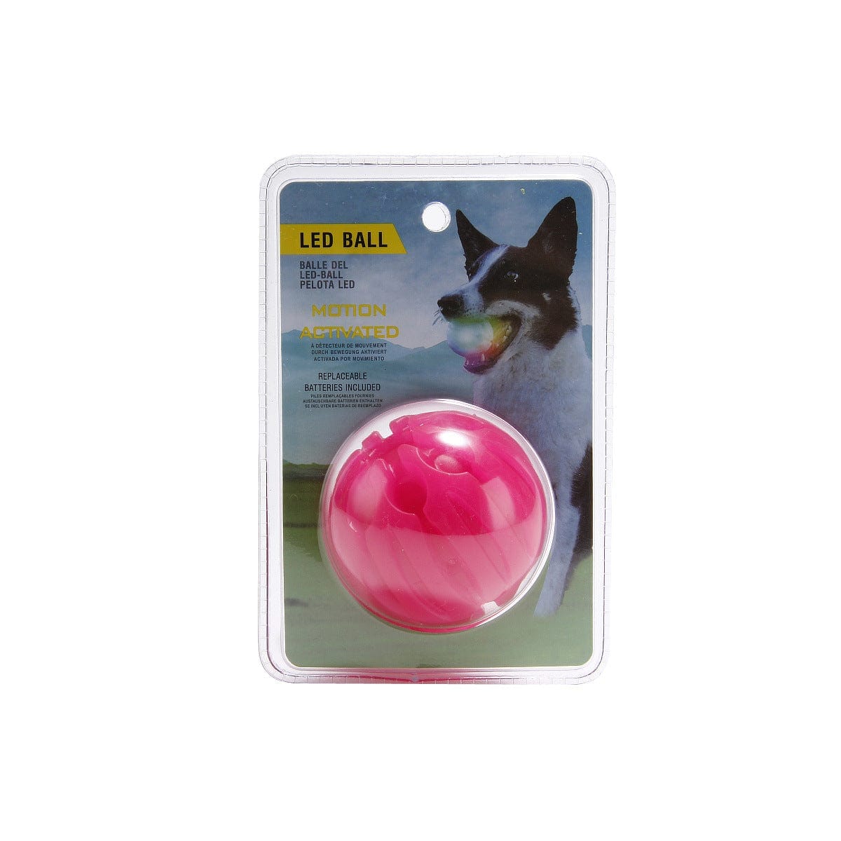 MyPawsomePets™ Bright Bounce Ball