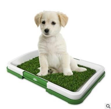 MyPawsomePets™ GreenPatch Pet Potty Pad