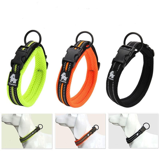 MyPawsomePets™ NightGlow Collar