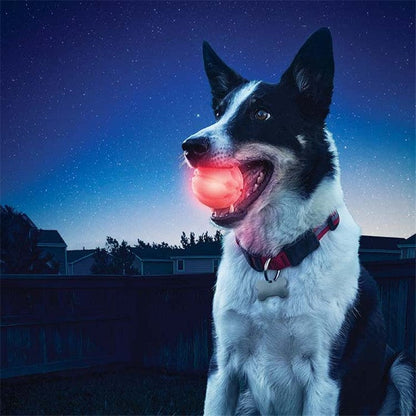 MyPawsomePets™ Bright Bounce Ball