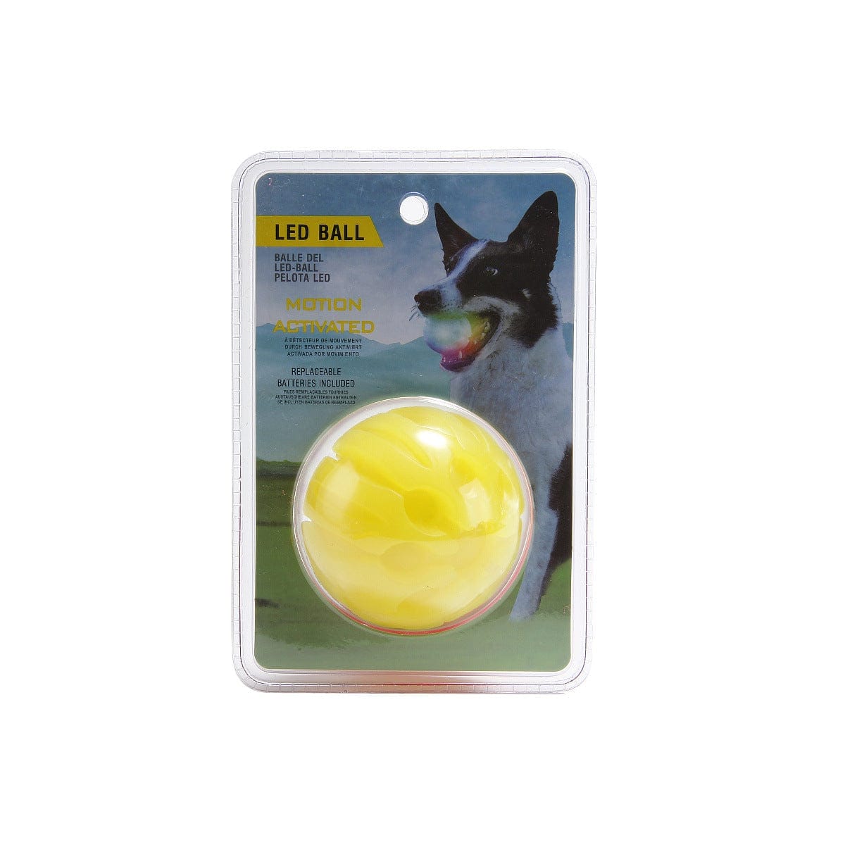 Motion store ball dog