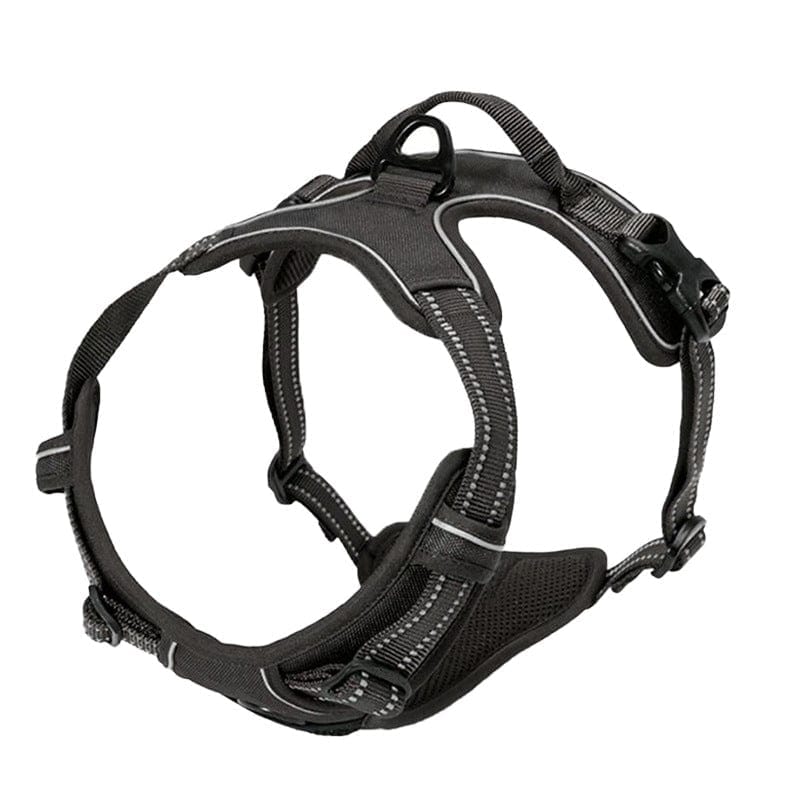 MyPawsomePets™ NightPaw Reflective Dog Harness